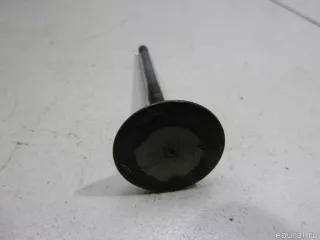 03F109611C VAG Клапан выпускной Audi A3 8P Арт E48562477, вид 4