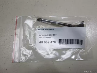 03F109611C VAG Клапан выпускной Volkswagen Golf PLUS 2 Арт E48562478, вид 1