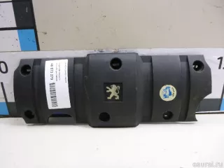 596435 Citroen-Peugeot Накладка декоративная Citroen Xsara Арт E48573279, вид 1