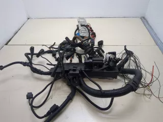 12517810118,7810118 Жгут проводов (Проводка) BMW X5 E70 Арт 20321894, вид 1