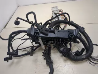12517810118,7810118 Жгут проводов (Проводка) BMW X5 E70 Арт 20321894, вид 4