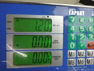 5N0867913A9B9 VAG Уплотнитель двери Volkswagen Tiguan 1 Арт E48591465, вид 6