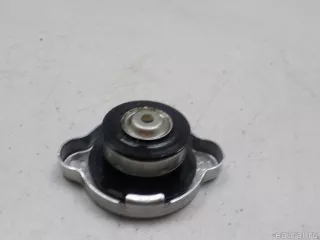 25330C7000 Hyundai-Kia Крышка радиатора Kia Sorento 3 restailing Арт E48591953, вид 2