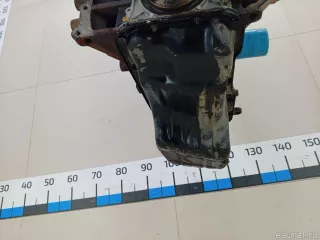 1010295F0B Nissan Двигатель Nissan Almera G15 Арт E70773553, вид 14