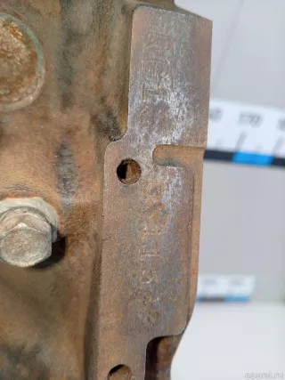 1010295F0B Nissan Двигатель Nissan Almera G15 Арт E70773553, вид 17