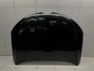 651009338R Renault Капот Renault Arkana Арт E31674038, вид 1