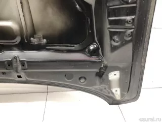 651009338R Renault Капот Renault Arkana Арт E31674038, вид 11
