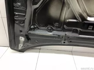 651009338R Renault Капот Renault Arkana Арт E31674038, вид 12