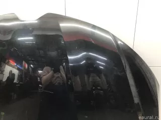 651009338R Renault Капот Renault Arkana Арт E31674038, вид 2