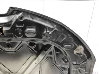 651009338R Renault Капот Renault Arkana Арт E31674038, вид 10