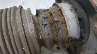 33506751543,6751543 Амортизатор задний левый BMW X5 E53 Арт 20343843, вид 4