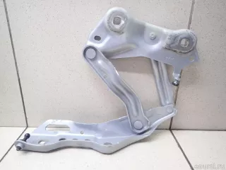 565823301 VAG Петля капота левая Skoda Kodiaq Арт E95743486, вид 1