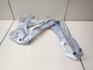 565823301 VAG Петля капота левая Skoda Kodiaq Арт E95743486, вид 2
