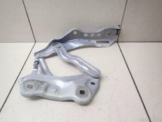 565823301 VAG Петля капота левая Skoda Kodiaq Арт E95743486, вид 3