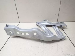 565823301 VAG Петля капота левая Skoda Kodiaq Арт E95743486, вид 4