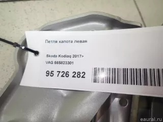 565823301 VAG Петля капота левая Skoda Kodiaq Арт E95743486, вид 8