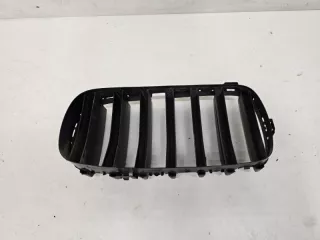 51712334710 Решетка радиатора BMW X5 F15 Арт lz237035, вид 8
