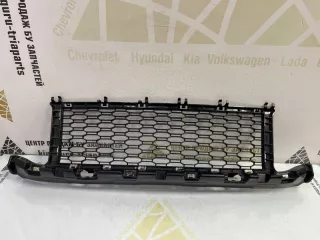 51118075893 Решетка бампера BMW X1 F48 Арт TP117141, вид 1
