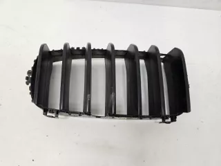 51712334710 Решетка радиатора BMW X5 F15 Арт VZ237035, вид 1