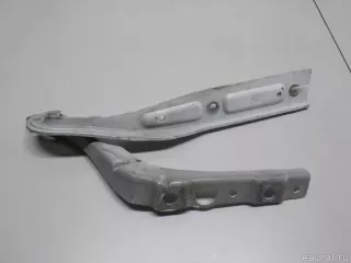 791276 Citroen-Peugeot Петля капота левая Peugeot 407 Арт E52505556, вид 1