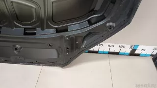 8W6823029 VAG Капот Audi A5 (S5,RS5) 2 Арт E103035074, вид 24