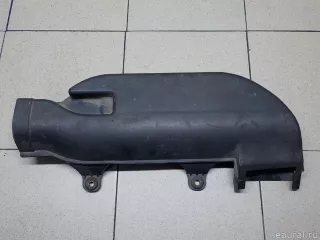 2817243510 Hyundai-Kia Воздухозаборник (внутри) Hyundai H1 1 Арт E31008105, вид 2