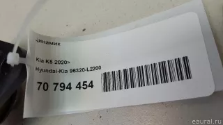 96320L2200 Hyundai-Kia Динамик Kia K5 3 Арт E70794454, вид 8