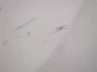 51487471230,7471230 Шумоизоляция капота BMW X1 F48 Арт 11380703, вид 4