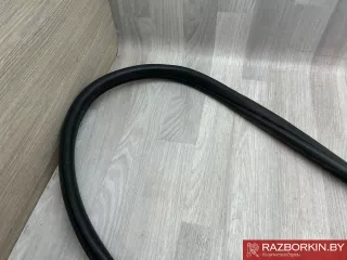 51727475754,7475754,7390112,51727390112 уплотнитель двери задней левой MINI COUNTRYMAN F60 Арт 36716_1, вид 3