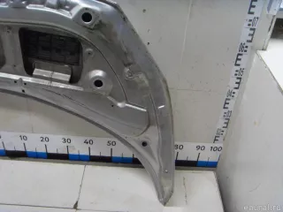 651001097R Renault Капот Renault Scenic 2 Арт E81090484, вид 11
