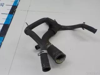 1013384 Ford Патрубок радиатора Ford Mondeo 1 Арт E52456750, вид 1