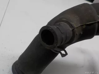 1013384 Ford Патрубок радиатора Ford Mondeo 1 Арт E52456750, вид 7