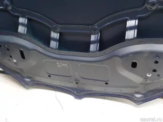 41007463772 BMW Капот BMW X1 F48 Арт E52494646, вид 15