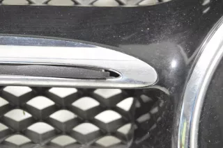 2138880123,,0008880000,,2138880260 Решетка радиатора Mercedes E W213 Арт AL14972544010_2, вид 7