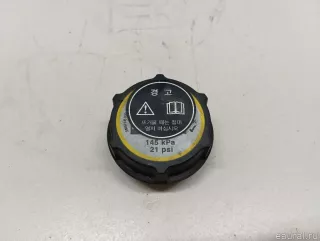 LR000243 Land Rover Крышка расширительного бачка Ford Galaxy 2 restailing Арт E23767687, вид 1