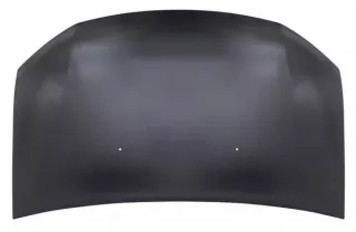 65 10 019 18R Капот Dacia Sandero 2 Арт car0191004