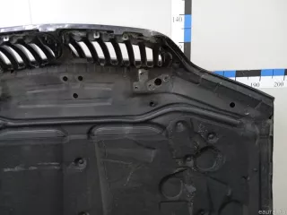 41617121102 BMW Капот BMW X5 E53 Арт E23784403, вид 11