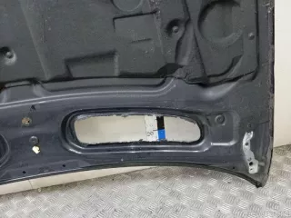 41617121102 BMW Капот BMW X5 E53 Арт E23784403, вид 12