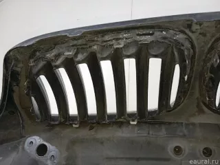 41617121102 BMW Капот BMW X5 E53 Арт E23784403, вид 14