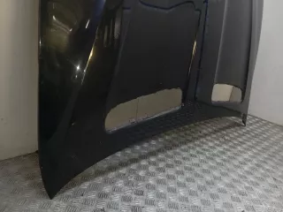 41617121102 BMW Капот BMW X5 E53 Арт E23784403, вид 2