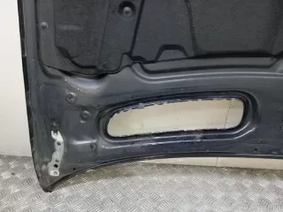 41617121102 BMW Капот BMW X5 E53 Арт E23784403, вид 9