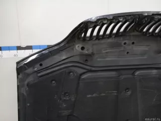 41617121102 BMW Капот BMW X5 E53 Арт E23784403, вид 10