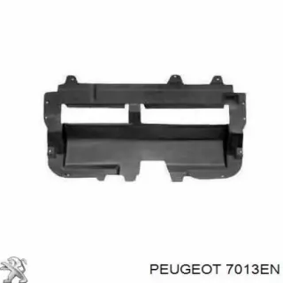 7013 AL, 7013 EN Защита двигателя Citroen C2 restailing Арт car0197852, вид 1