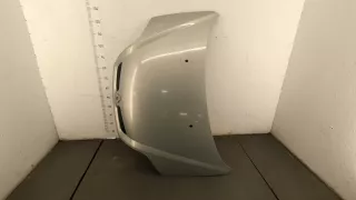 7700428466,7700428467 Решетка радиатора Renault Scenic 2 Арт 11379358, вид 4