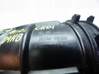  Гофра инжектора Hyundai Grandeur HG Арт e2052924, вид 3