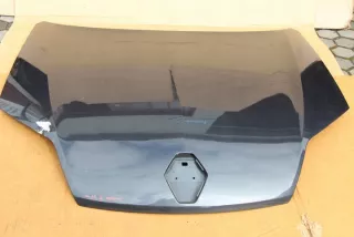 2007-14r Капот Renault Laguna 3 Арт e2529847, вид 5