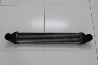  A1695000000 Интеркулер Mercedes A W169 Арт e3162381, вид 1