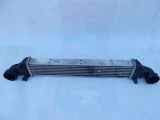 2115001002 Интеркулер Mercedes E W211 Арт e3162752, вид 1