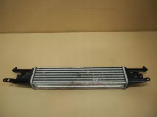 55702004 Интеркулер Opel Corsa D Арт e3163933, вид 2
