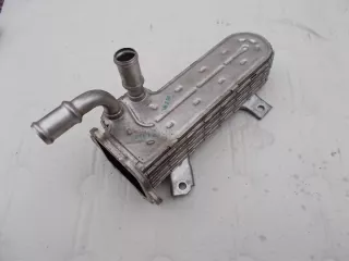 038131513 Радиатор EGR Volkswagen Golf 5 Арт e3211292, вид 1